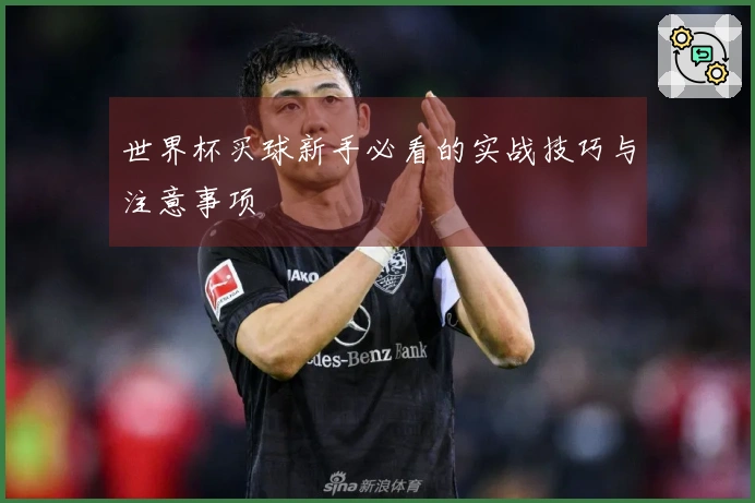 世界杯买球新手必看的实战技巧与注意事项