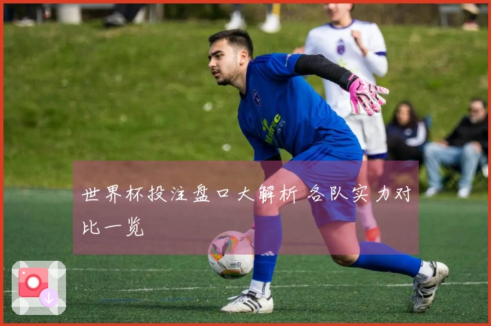世界杯投注盘口大解析 各队实力对比一览