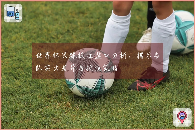 世界杯买球投注盘口分析，揭示各队实力差异与投注策略