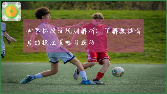 世界杯投注规则解析：了解数据背后的投注策略与技巧