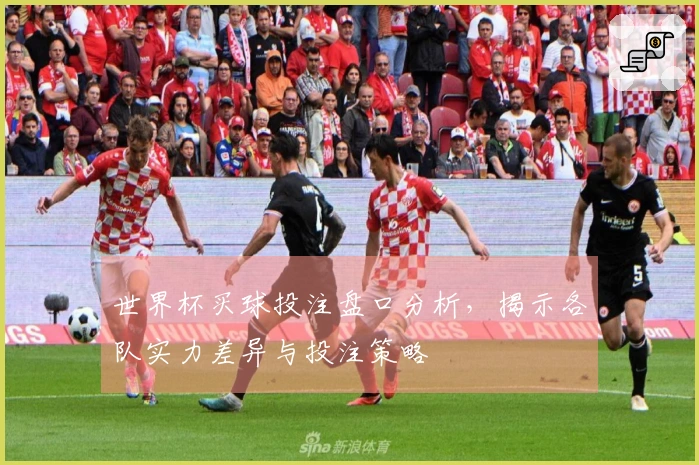 世界杯买球投注盘口分析，揭示各队实力差异与投注策略