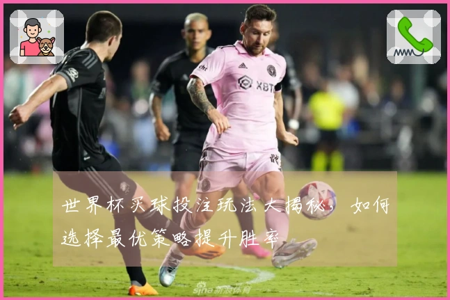 世界杯买球投注玩法大揭秘，如何选择最优策略提升胜率
