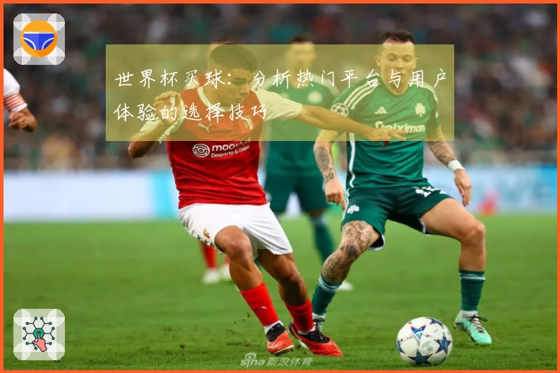 世界杯买球：分析热门平台与用户体验的选择技巧