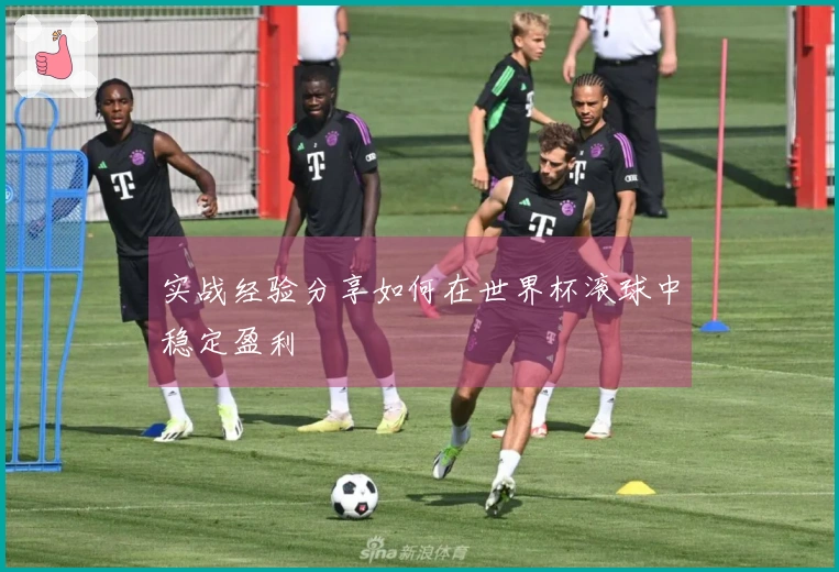 实战经验分享如何在世界杯滚球中稳定盈利