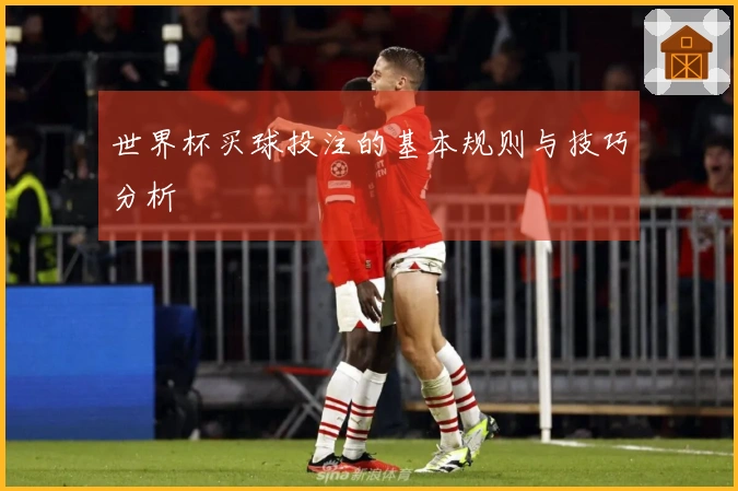 世界杯买球投注的基本规则与技巧分析