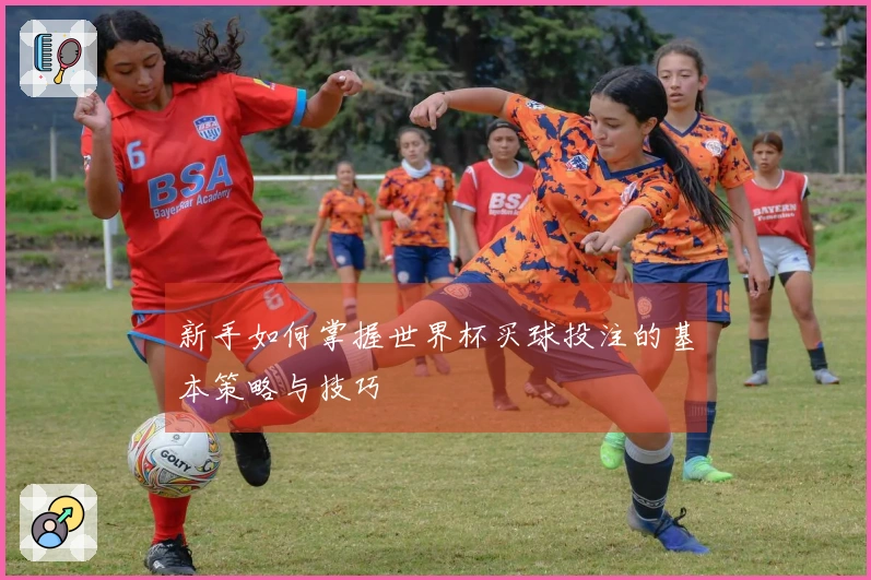 新手如何掌握世界杯买球投注的基本策略与技巧