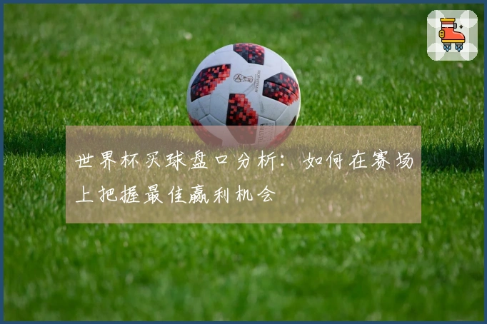 世界杯买球盘口分析：如何在赛场上把握最佳赢利机会