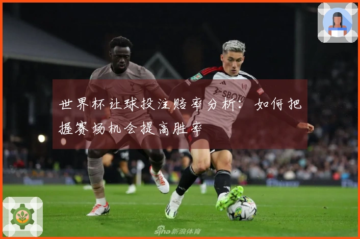 世界杯让球投注赔率分析：如何把握赛场机会提高胜率
