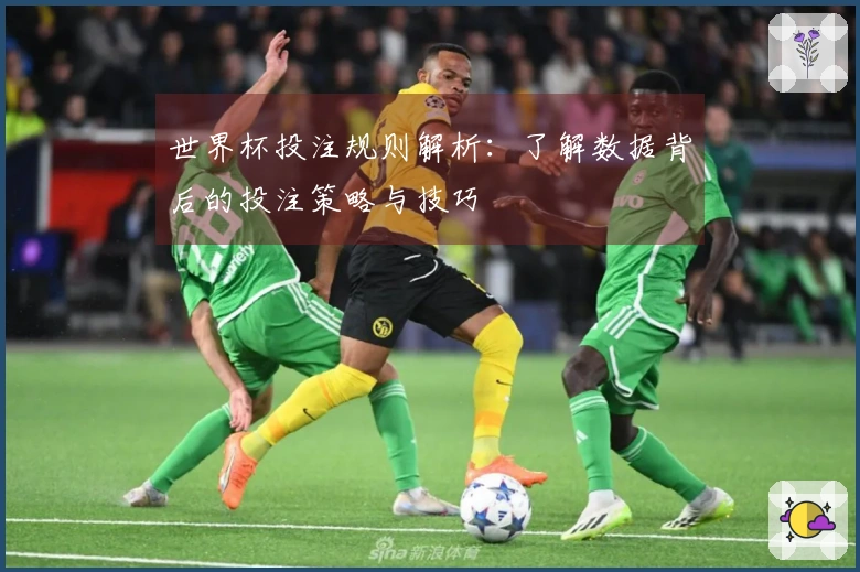 世界杯投注规则解析：了解数据背后的投注策略与技巧