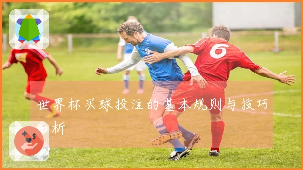 世界杯买球投注的基本规则与技巧分析