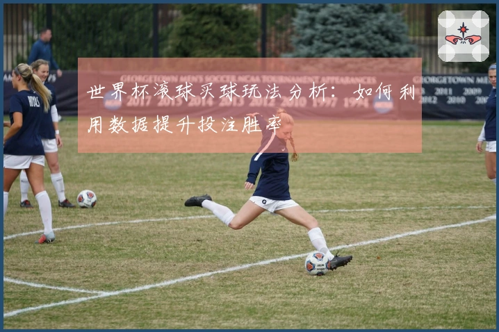 世界杯滚球买球玩法分析：如何利用数据提升投注胜率