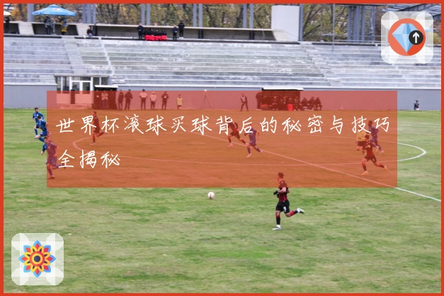 世界杯滚球买球背后的秘密与技巧全揭秘