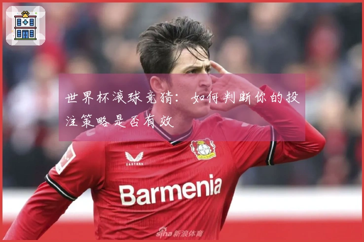 世界杯滚球竞猜：如何判断你的投注策略是否有效