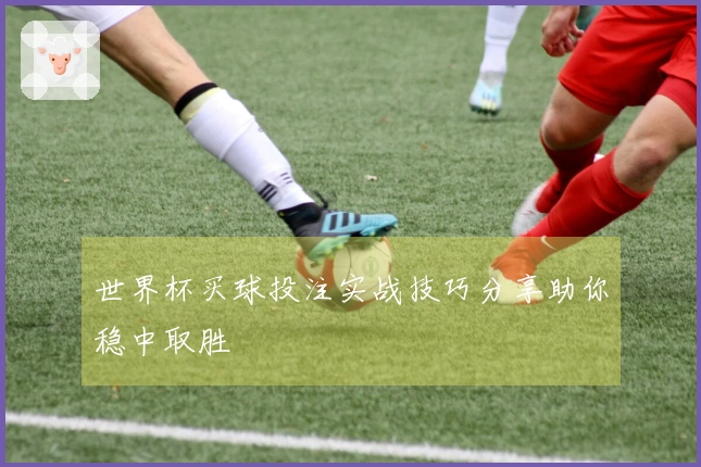 世界杯买球投注实战技巧分享助你稳中取胜