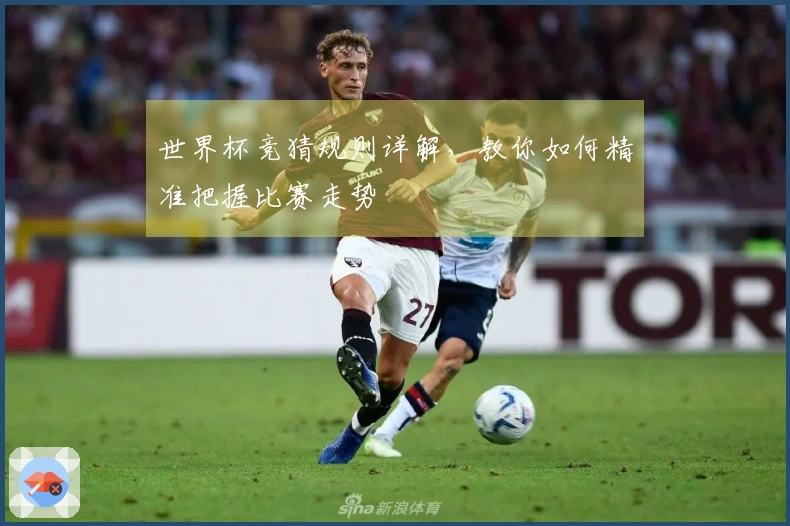 世界杯竞猜规则详解，教你如何精准把握比赛走势