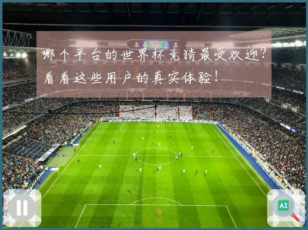 哪个平台的世界杯竞猜最受欢迎？看看这些用户的真实体验！