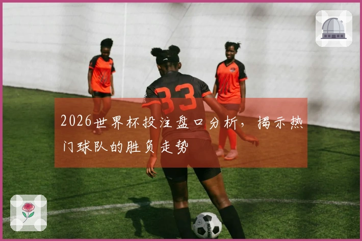 2026世界杯投注盘口分析，揭示热门球队的胜负走势