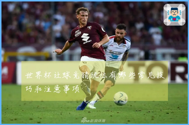世界杯让球竞猜玩法有哪些常见技巧和注意事项